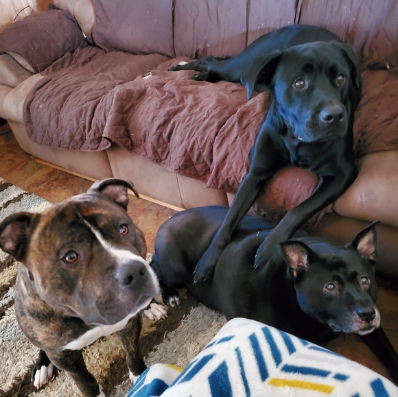 Meet your Posher, Robert - Picture 4 of 5